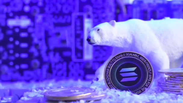 Snow Fallen Bear Market Solana Blue Coin Crypto Crash Winter — Stock Video