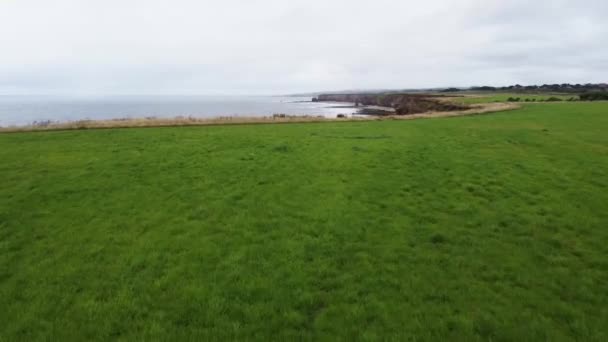 Drone Survolant Une Falaise Sur Côte Anglaise Avec Mer Nord — Video