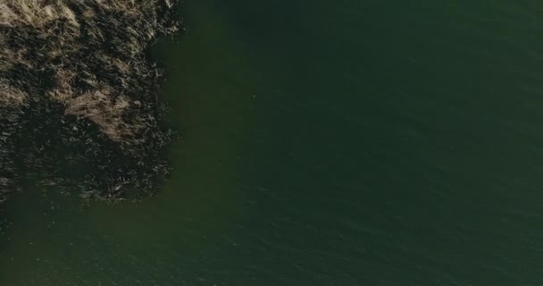 Воздушный Переход Темного Таинственного Озера Зеленому Естественному Озеру — стоковое видео