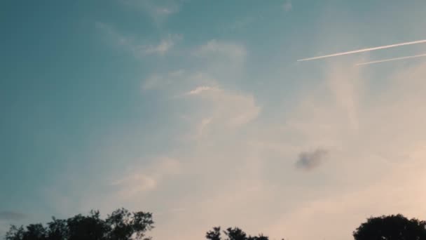 Vliegtuig Komt Binnen Filmische Zonsondergang Hemel Boven Het Boombos — Stockvideo