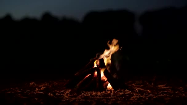 Stillastående Närbild Brasa Skogen Natten Gnistor Flyger Som Ved Läggs — Stockvideo