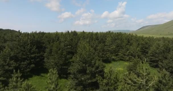 Voando Sobre Uma Área Florestada Campo Gramado Perto Fim Lago — Vídeo de Stock