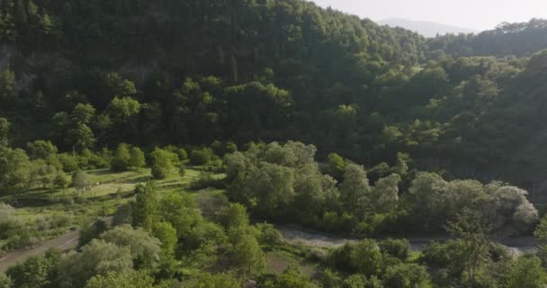 Verdant Trees Growing Banks Gujaretistskali River Summer Daba Georgia Udara — Stok Video