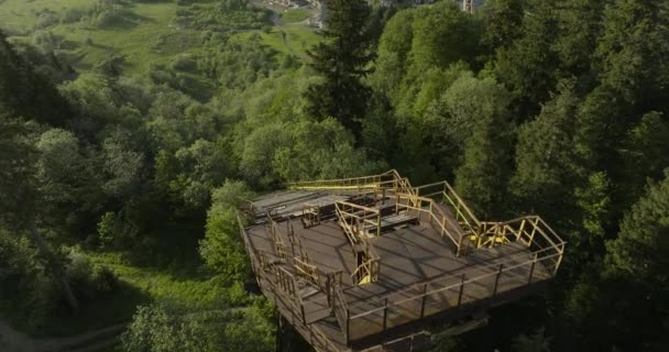 Vernachlässigte Alte Schanze Mit Wachsenden Bäumen Und Pflanzen Der Nähe — Stockvideo