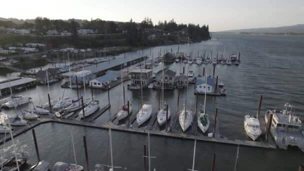 Veleros Puerto Deportivo Atardecer Río Columbia — Vídeos de Stock