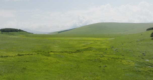 Doğal Parkın Açık Çayırı Gürcistan Ktsia Tabatskuri Koruma Alanını Yönetti — Stok video