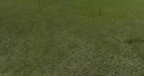緑豊かな芝生の上を飛ぶ青い曇った空の下での山の風景ジョージア州バクーリアニで ドローンが傾いた — ストック動画