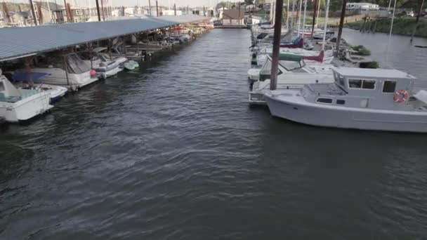 Barcos Atracados Saint Helens Oregon Rio Columbia — Vídeo de Stock