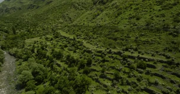 南ジョージアの古い農業のテラスの険しい山Paravani川沿い ヘルトヴィシ要塞の近く — ストック動画