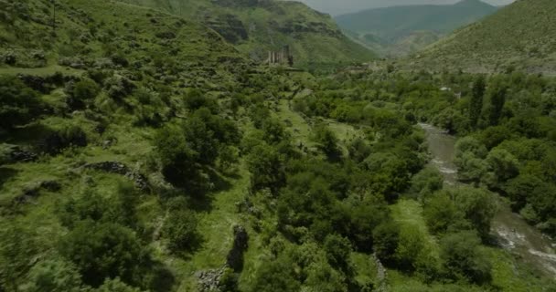 Prehistoric Traditional Terrace Farming Por Georgians Grazing Domestic Animals Junto — Vídeos de Stock