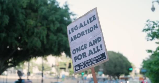Manifestante Una Protesta Pro Scelta Trattiene Cartello Che Legalizza Aborto — Video Stock