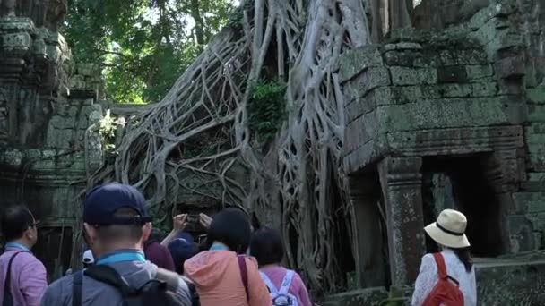Pan Strzał Chiński Turysta Patrząc Angkor Świątynie — Wideo stockowe