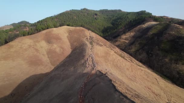 Alta Vista Aérea Rebaño Ovejas Subiendo Ladera Una Montaña Durante — Vídeos de Stock