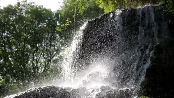 Beautiful Water Flow Pouring Rock Fall Splashing Sunlight Tall Trees — Stock Video