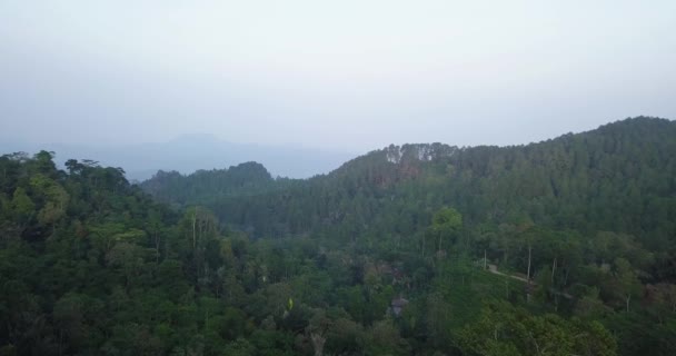 Widok Powietrza Drzewa Leśne Szczycie Góry Pochmurny Dzień Rano — Wideo stockowe