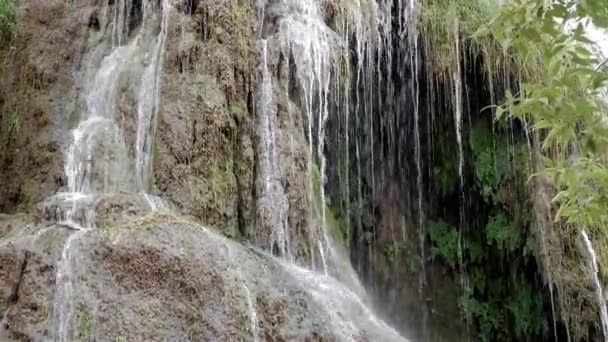 Известняковая Скальная Стена Различными Формами Покрытая Мхом Лишайником Вода Льется — стоковое видео