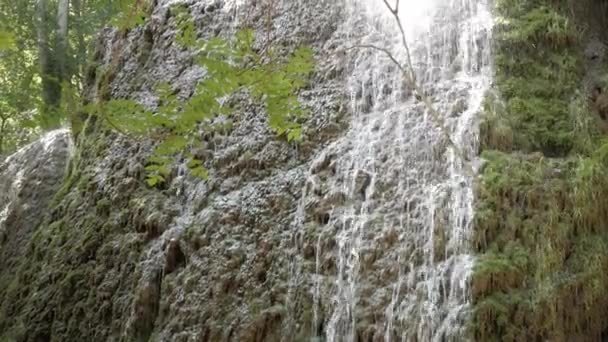 Каменная Стена Известковые Образования Вода Течет Каменной Стене Покрытой Мхом — стоковое видео