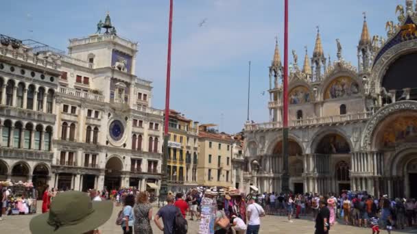 Turister Piazza San Marco Med Markuskyrkan Venedig Italien Bred Panorering — Stockvideo