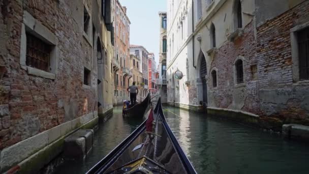 Гондоліанці Подорожують Традиційним Човном Чарівних Каналах Венеції Італії — стокове відео