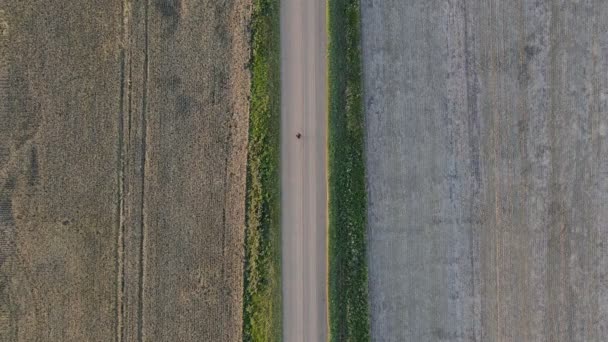 Static Head Shot Lonely Person Walking Straight Dirt Road Fields — Stock video