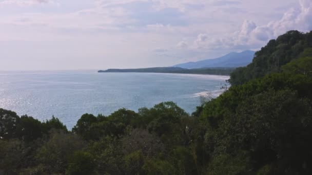 Aerial Drone View Rainforest Pacific Ocean Coast Costa Rica Coastal — Vídeo de Stock