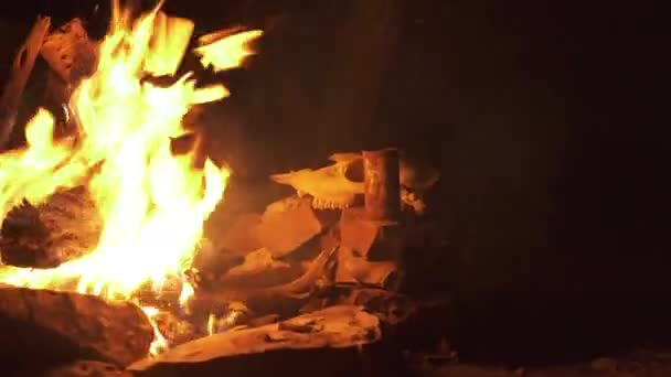 Hunter Fire Night Tracking Slider Shot Deer Skulls Drying Background — Stok Video