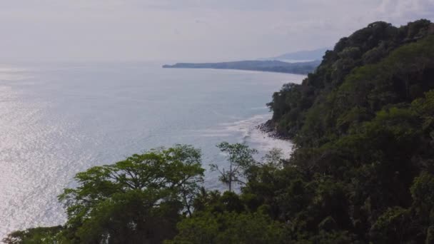 Flygdrönare Utsikt Över Regnskog Och Hav Stillahavskusten Costa Rica Tropical — Stockvideo