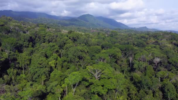 High Aerial Drone View Rainforest Mountains Costa Rica Tropical Jungle — Video Stock