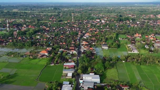 Skyline Aéreo Estrada Estrada Cercada Por Campos Arroz Ubud Bali — Vídeo de Stock