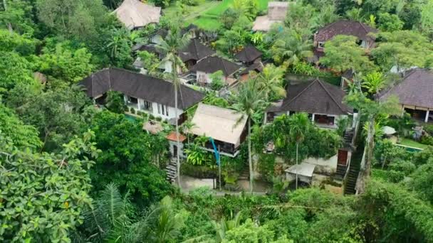 Vzduch Vil Džungli Ubud Bali Indonésie Obklopen Kokosovými Stromy — Stock video