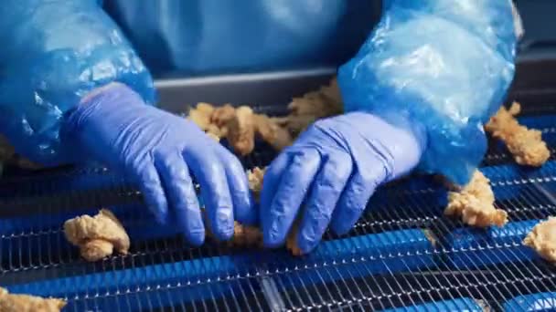 鶏肉加工食肉食品産業 工場でのチキンストリップ ナゲット フィレの生産 — ストック動画