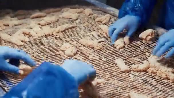 鶏肉加工食肉食品産業 工場のコンベアベルトに鶏のナゲット 労働者鶏のナゲットと粉末を混ぜます — ストック動画