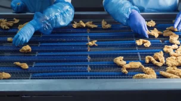 Csirkefalatok Rögök Filék Előállítása Kenyérsütés Gyárban Baromfiipari Feldolgozósor — Stock videók