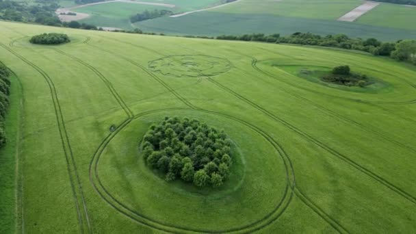 Drone Aéreo Para Frente Tiro Movimento Sobre Campo Verde Com — Vídeo de Stock