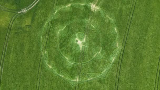 Aerial Drone Top Shot Crop Circle Field Hippenscombe Windy Day — Vídeos de Stock