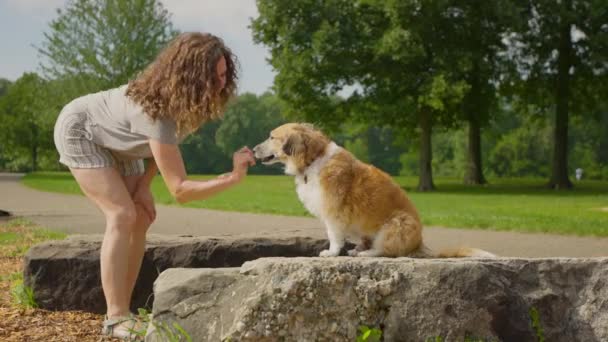 Meisje Geeft Dog High Five Park Veel Plezier Gelukkig Mooi — Stockvideo