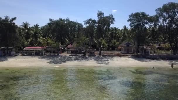 Slow Motion Strandbedden Water Onder Palmbomen Perfecte Luchtzichtvlucht Vlieg Voorwaarts — Stockvideo