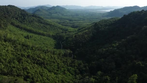 Aérea Selva Tropical Ambiente Tropical Koh Yao Noi Tailandia — Vídeos de Stock