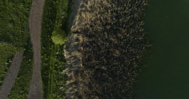 Mtskheta Gürcistan Daki Ktsia Tabatskuri Reserve Yakınlarında Tabatskuri Gölü Nün — Stok video