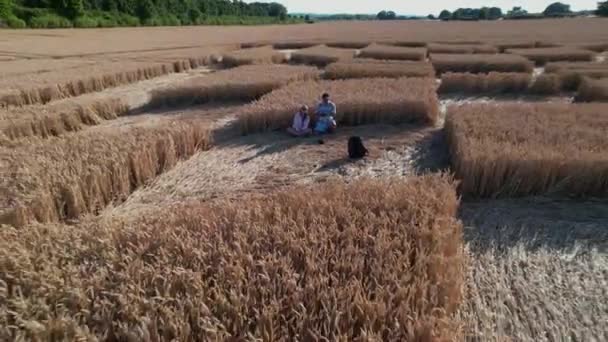 Letecký Bezpilotní Letoun Pozpátku Pohybující Záběr Muže Ženy Sedících Uvnitř — Stock video