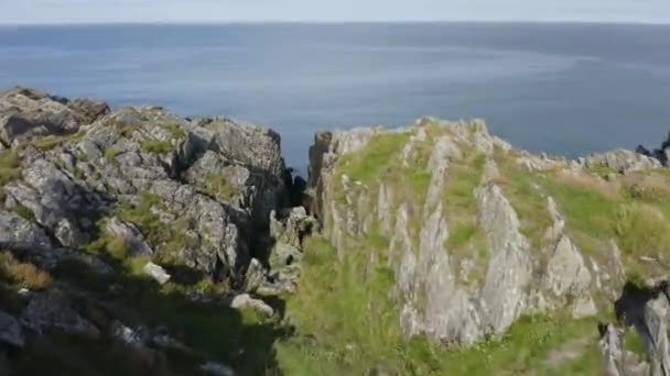 無人機はアイルランドのClogherheadの岩の海岸に沿って海に向かって飛んでいます 外海の漁師たち 旅と観光のコンセプト — ストック動画