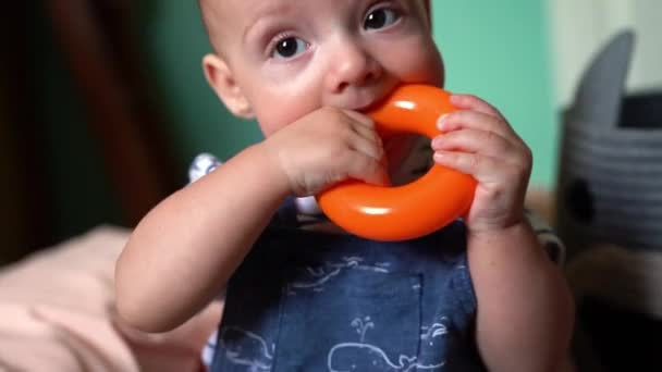 Detailní Záběr Měsíční Dítě Chlapec Žvýkání Kousání Lepení Hračku Hraní — Stock video