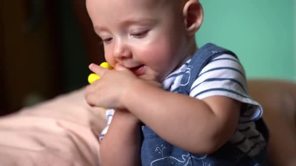 Mese Vecchio Neonato Bambino Masticare Giocattolo Dentizione Vivaio — Video Stock