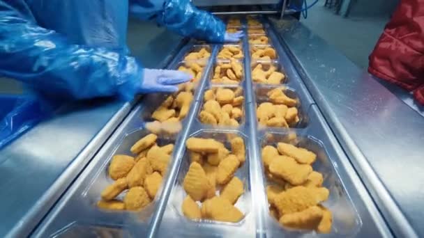 Chicken Nuggets Production Line Factory Production Food Meat — Stock Video