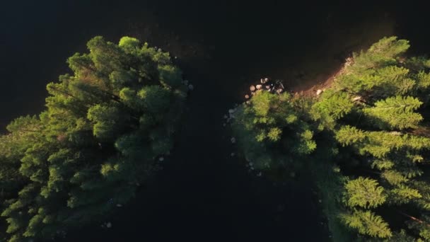 保加利亚Yazovir Shiroka Polyana 水库湖中的绿松林 高角镜头 — 图库视频影像
