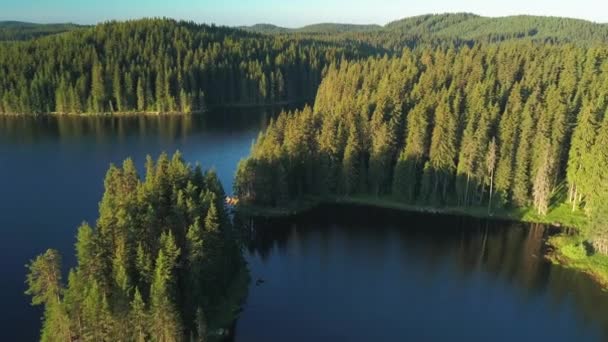Panorama Shiroka Polyana Reservoir Lake Green Forest Сонячний День Болгарії — стокове відео
