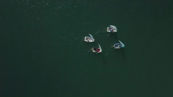 Internationale Regatta Kandidaten Auf Ihren Segelbooten Vor Dem Anlegen Hafen — Stockvideo