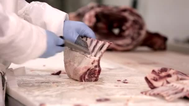 Processamento Carne Uma Fábrica Processamento Carne Açougueiro Corta Carne Costelas — Vídeo de Stock