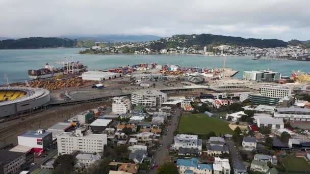 Panela Aérea Direita Wellington City Nova Zelândia Tarde — Vídeo de Stock