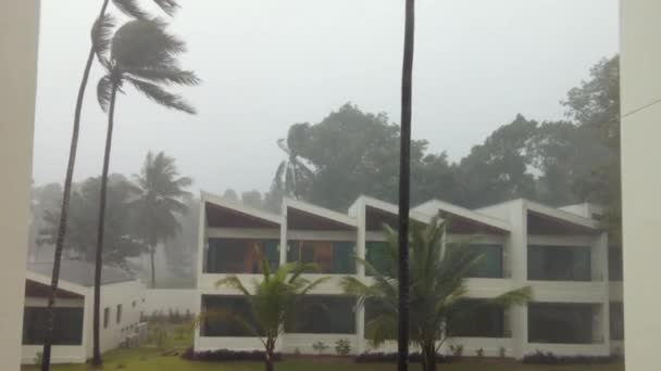 Typhoon Gulf Thailand Blowing Palm Trees Heavy Rain — Stock Video